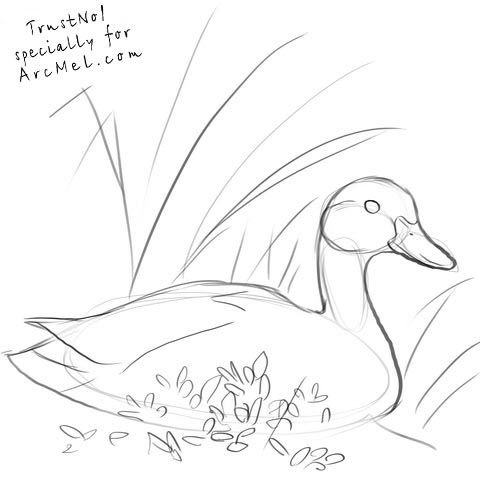 Михаил пришвин хромка