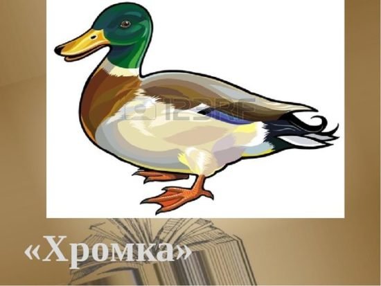 Пришвин хромка иллюстрации