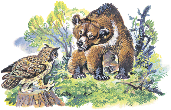 Медведь Сладков