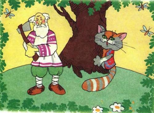 Котик золотой лобик