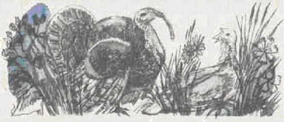 Воробей и курица сказка