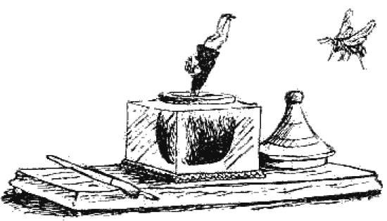 Корней Чуковский Бибигон и пчела