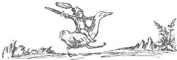 Бибигон на стрекозе