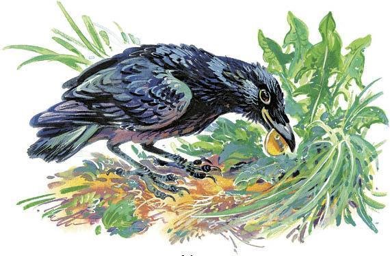 Ворона сказка Владимира Даля