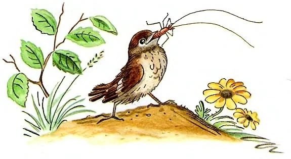 Корней Чуковский Воробей и Тараканище