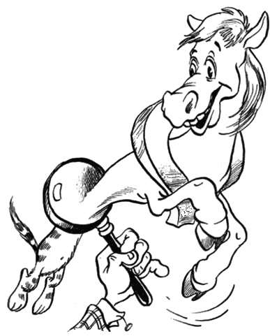 Е Шварц рассеянный волшебник