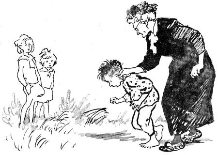 Верейская белая шубка иллюстрации