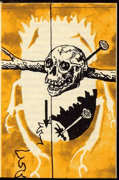 Иллюстрация к рассказу золотой Жук