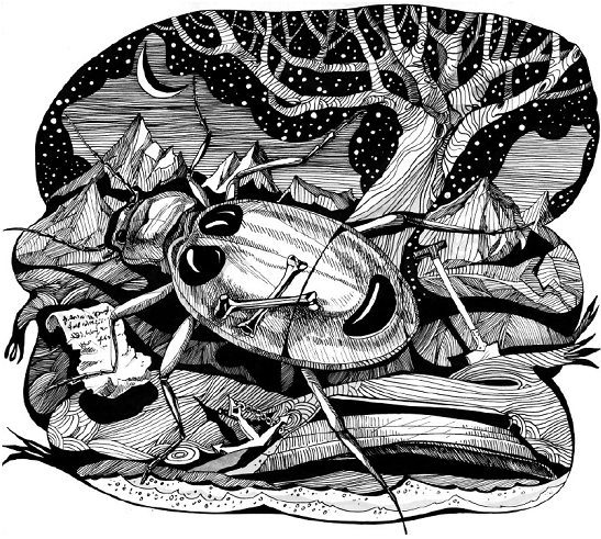 Золотой Жук Эдгар иллюстрации