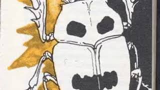 Золотой Жук нарисовать