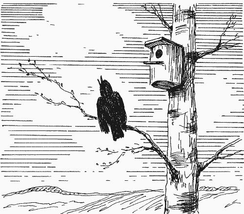 Александр Иванович Куприн скворцы