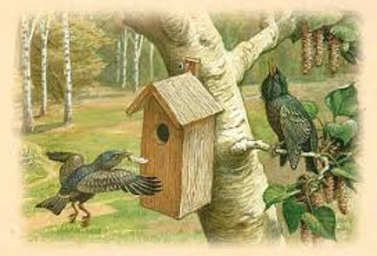 Картина встречаем птиц