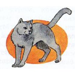 Беспризорная кошка