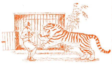 Сказка хитрый Шакал индийская сказка