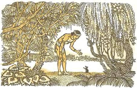 Сказки о тиграх для детей