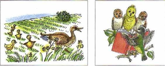 Иллюстрация к сказке ребята и утята легко (44 фото)