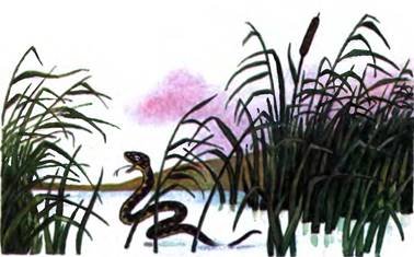 Сказка охотник и змея