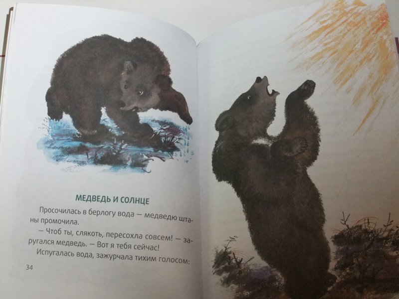 Рассказ сладкова медведь. Медведь-дармоед Сладков. Рассказ Сладкова медведь-дармоед.