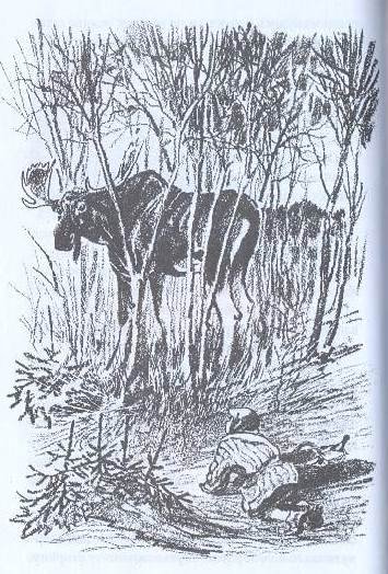 Е Рачев кладовая солнца