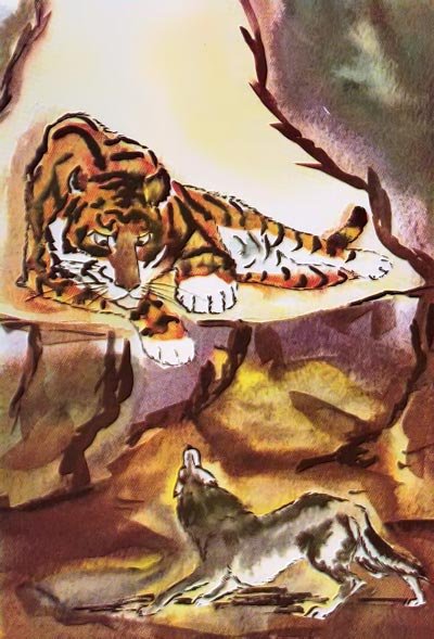 Culpeo-Fox (Анита Ульрих )