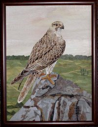 Иллюстрация серебряный Сокол