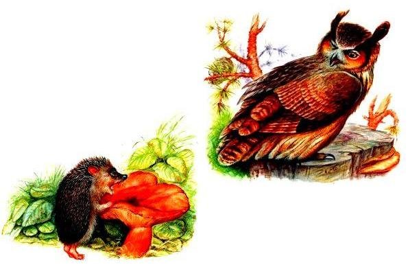 Н Сладков бежал Ёжик по дорожке