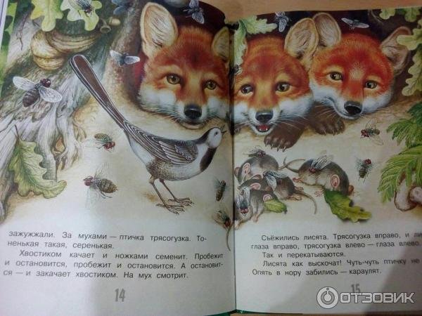 Сказочный Ежик раскраска