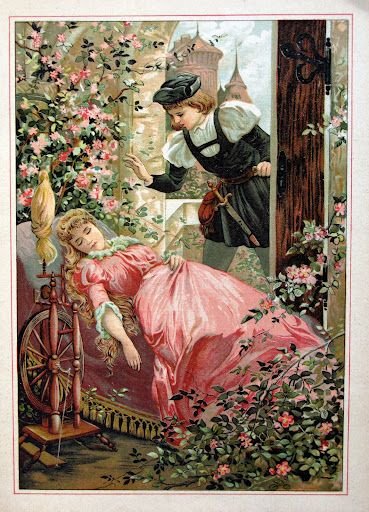 Иллюстрация к сказке братьев гримм шиповничек (49 фото)