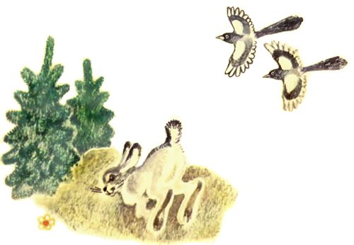 Иллюстрация к сказке хвосты