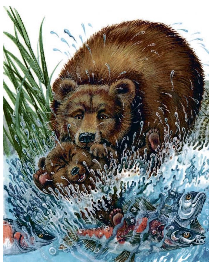 Купание медвежат Бианки. Книга купание медвежат Бианки. Купание медвежат Бианки иллюстрации. Рассказ бианки купание медвежат