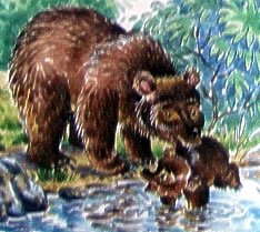 Купание медвежат Бианки охотник