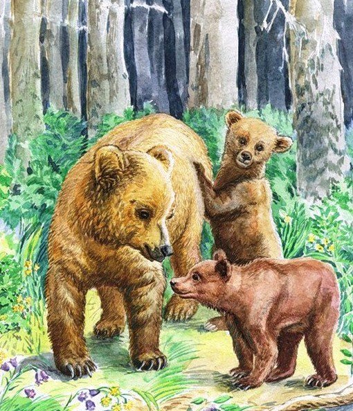 Купание медвежат Бианки