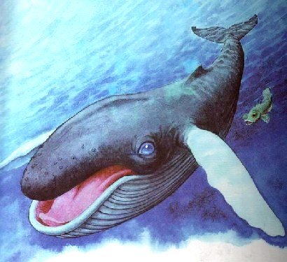 У кита такая глотка Киплинг