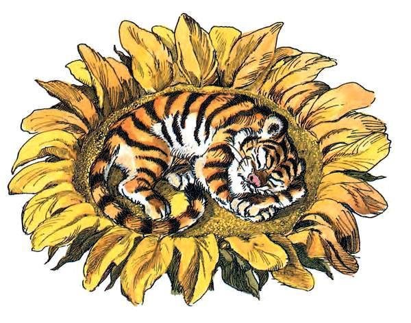 Юрий Коваль Тигренок на подсолнухе
