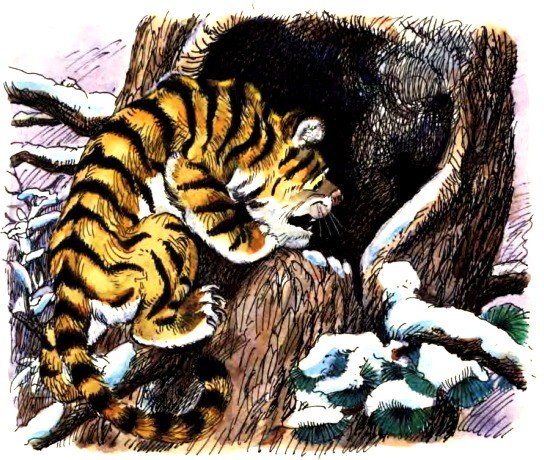 Коваль Тигренок на подсолнухе