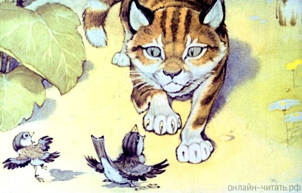 Пудик Воробей Горький