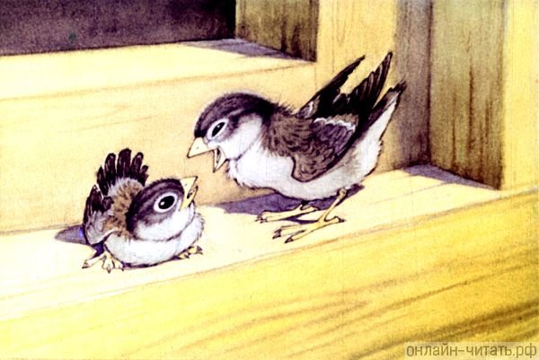 Сказка Горького Воробьишко