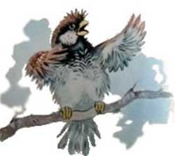 Былинка и Воробей