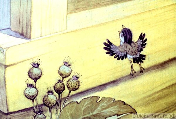 Снегирь раскраска