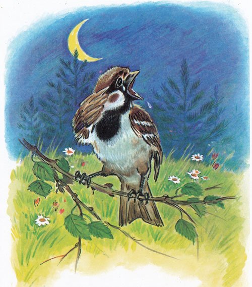 Воробей Вересаев