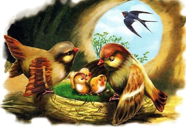 Виталий Бианки красная горка