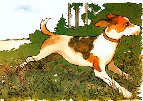 Книга хитрые сказки