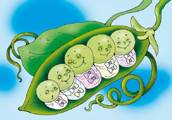 Г Х Андерсен пятеро из одного стручка