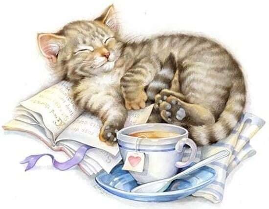 Кот и мыши сказка раскраска