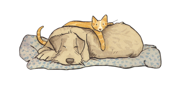 Рисунок к рассказу Кошкин щенок