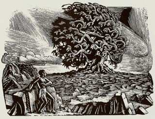 Остров Ява Долина смерти дерево Анчар