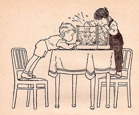 Раскраска к рассказу Карасик Носова