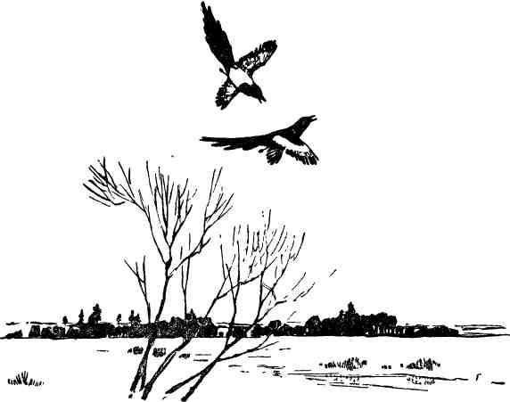 Алексей Плещеев дети и птичка