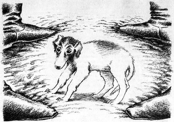 Чехов хамелеон иллюстрации к произведению