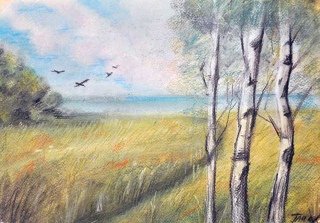 Иван Саввич Никитин полно степь моя рисунок